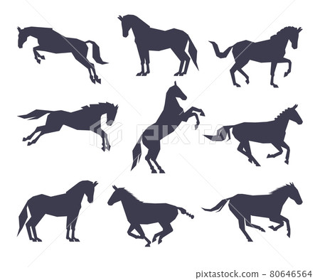 Side View of Racing Horse Silhouettes Set, Equestrian Sport, Derby Vector Illustration Side View of Racing Horse Silhouettes Set, Equestrian Sport, Derby Vector Illustration 80646564