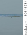 Greece, Lake Kerkini, Flamingo standing in the middle of the water 80646734
