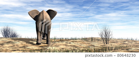 Elephant standing in the desert - 3D render Elephant standing in the desert - 3D render 80648230