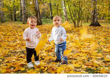 two little toddlers laugh under the falling autumn leaves. adorable kids in autumn park 80648620
