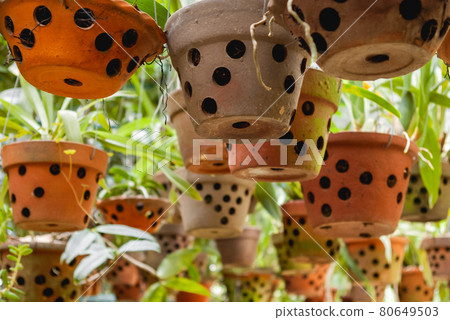 Greenhouse with hanging clay pots. Special flower pots with holes for aerial roots of tropical plants and orchids. Greenhouse with hanging clay pots. Special flower pots with holes for aerial roots of tropical plants and orchids. 80649503