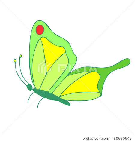 Colored Butterfly , vector illustration, icon. Colored Butterfly , vector illustration, icon. 80650645