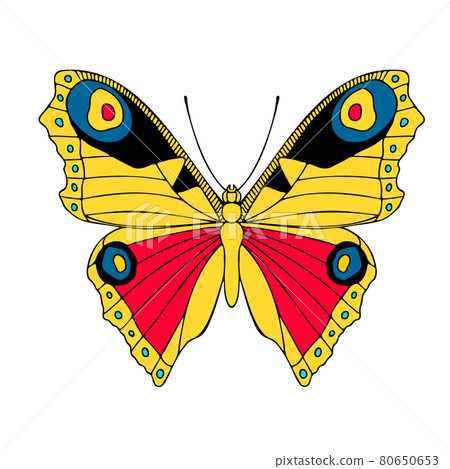 Elegant little colored butterfly , vector illustration, icon. Elegant little colored butterfly , vector illustration, icon. 80650653