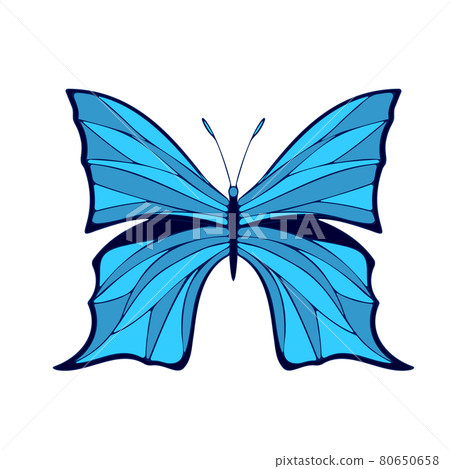 Colored Butterfly , vector illustration, icon. Colored Butterfly , vector illustration, icon. 80650658