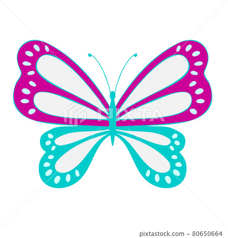 Colored Butterfly , vector illustration, icon. 80650664