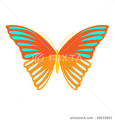 Orange butterfly, vector illustration, icon. Orange butterfly, vector illustration, icon. 80650665