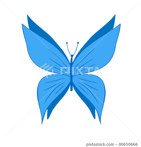 Blue butterfly, vector illustration, icon. 80650666