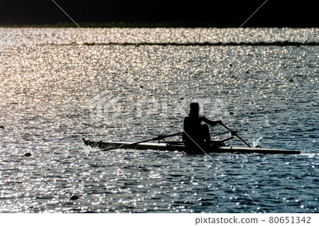Single scull regatta silhouette silhouette at sunset 80651342