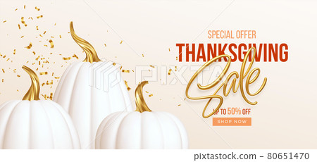 3d realistic white golden pumpkin with sale text isolated on white background. Thanksgiving background with pumpkins and Thanksgiving sale lettering. Vector illustration 3d realistic white golden pumpkin with sale text isolated on white background. Thanksgiving background with pumpkins and Thanksgiving sale lettering. Vector illustration 80651470