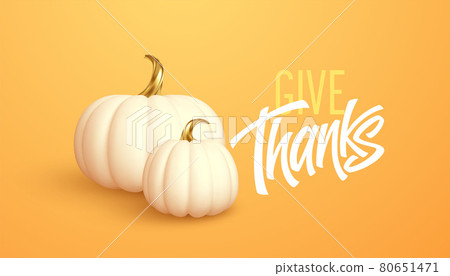 3d realistic white gold pumpkin isolated on orange background. Thanksgiving background with pumpkins and Give Thanks inscription. Vector illustration 3d realistic white gold pumpkin isolated on orange background. Thanksgiving background with pumpkins and Give Thanks inscription. Vector illustration 80651471