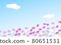 Cosmos and blue sky Cosmos rising to the right 80651531