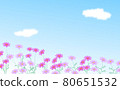 Cosmos and blue sky Cosmos rising to the left 80651532