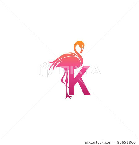 Flamingo bird icon with letter K Logo design vector 80651866