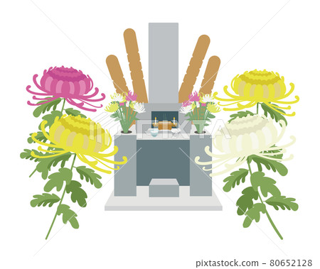 Tombstone chrysanthemum flower Tombstone chrysanthemum flower 80652128