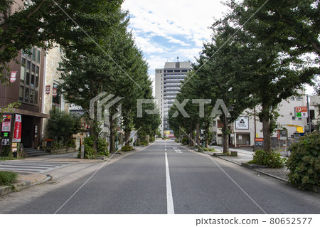 Namiki Street in front of Utsunomiya City Hall Namiki Street in front of Utsunomiya City Hall 80652577