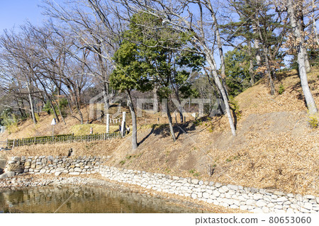 武田神社Mizono橋周圍 武田神社Mizono橋周圍 80653060