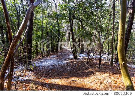 Mountain trail to Mt. Mountain trail to Mt. 80653369