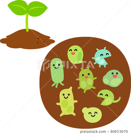 Microbial characters and plant sprouts in the soil 80653670