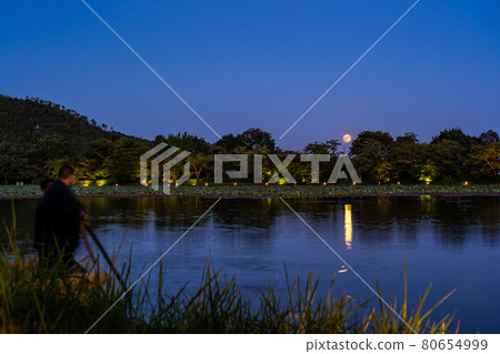 京都府京都市大覺寺觀月之夜,大澤池上出現的中秋月 京都府京都市大覺寺觀月之夜,大澤池上出現的中秋月 80654999