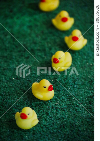 Miniature yellow duck 80655026