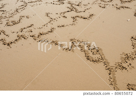 Ghost crab footprints on a flat wet sands. Nature art. Iriomote Island. Ghost crab footprints on a flat wet sands. Nature art. Iriomote Island. 80655072
