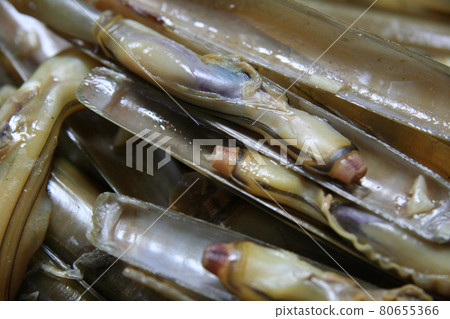 A close-up of raw razor clams, a rare delicacy from the sea. A close-up of raw razor clams, a rare delicacy from the sea. 80655366