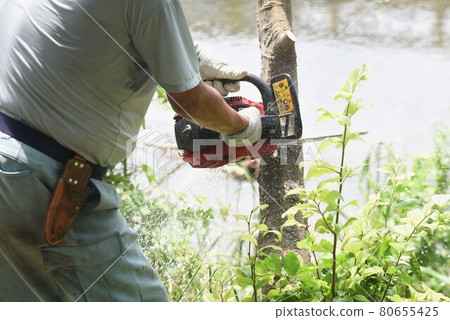 Environmental improvement and riverbed logging work 80655425