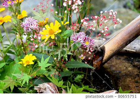 漂亮的花花手水 漂亮的花花手水 80655751