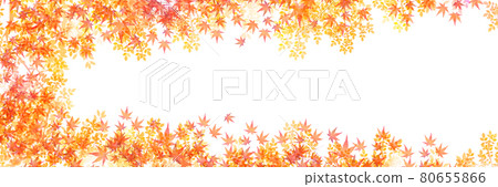  Autumn leaves maple autumn background 80655866