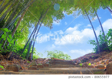 What are you waiting for at the end of the wooden stairs? What are you waiting for at the end of the wooden stairs? 80655977