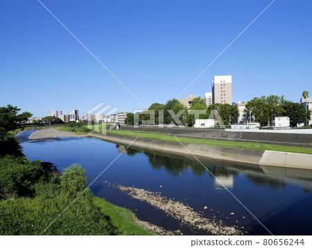 熊本川夏季白川和熊本大學黑神南校區(熊本市中央區) 熊本川夏季白川和熊本大學黑神南校區(熊本市中央區) 80656244