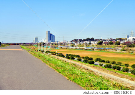 從等力綠地（神奈川縣川崎市）附近眺望新玉川大橋（大山京濱）和二子玉川[2020.11] 80656308