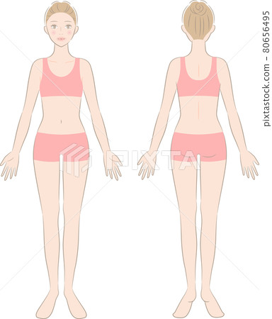 Female whole body front and back - Stock Illustration [80656495] - PIXTA