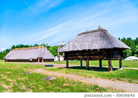 Sannai Maruyama Site, Aomori Prefecture: Excavated pillar building and large pit-house 80656648