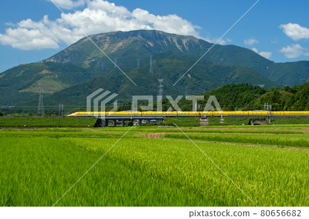 黃醫生在伊吹山腳下的鄉村奔跑 80656682
