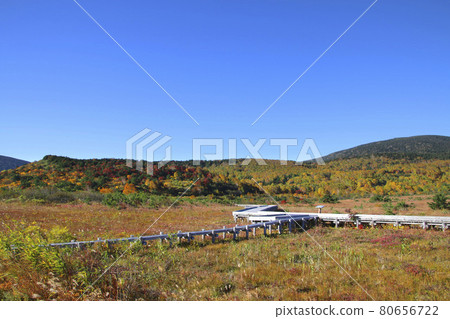 秋天萬代Azuma天際線（福島市/豬苗代町） 80656722