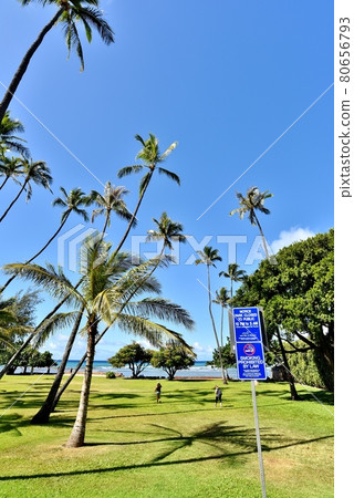 Holidays in Hawaii Holidays in Hawaii 80656793