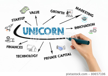 UNICORN, business concept. Chart with keywords and icons on white background 80657106