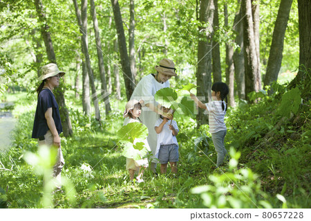 Nursery teachers and children playing in the forest 80657228