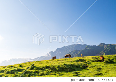 藍天白雲阿蘇五嶽風景 藍天白雲阿蘇五嶽風景 80657385