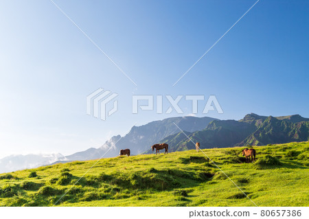 藍天白雲阿蘇五嶽風景 80657386