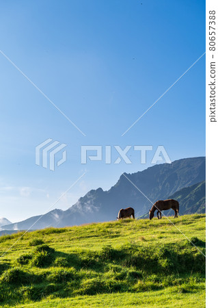 藍天白雲阿蘇五嶽風景 藍天白雲阿蘇五嶽風景 80657388