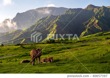 Blue sky and white clouds Scenery of Gogaku in Aso Blue sky and white clouds Scenery of Gogaku in Aso 80657397