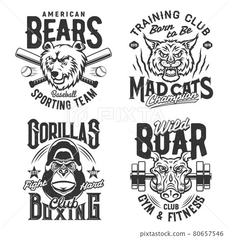Sport gym and fitness club t shirt prints, quotes 80657546