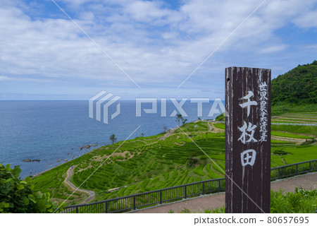 Noto / Shiroyone Senmaida Noto / Shiroyone Senmaida 80657695