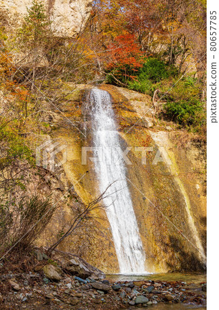 山形的秋天 Omoshiroyama Kogen 秋葉 Omoshiroyama 秋葉河谷 Arare Fall 80657785