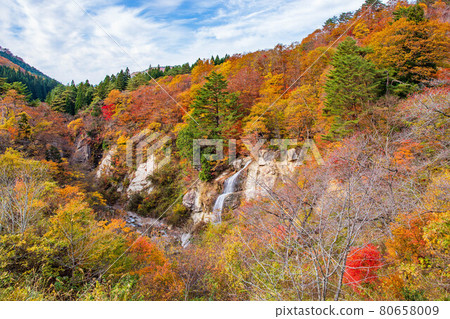 山形的秋天 Omoshiroyama Kogen 秋葉 Omoshiroyama 秋葉河谷 山形的秋天 Omoshiroyama Kogen 秋葉 Omoshiroyama 秋葉河谷 80658009