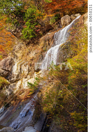 Autumn in Yamagata Omoshiroyama Kogen Autumn leaves Omoshiroyama Autumn leaves river valley Toka Falls Autumn in Yamagata Omoshiroyama Kogen Autumn leaves Omoshiroyama Autumn leaves river valley Toka Falls 80658151