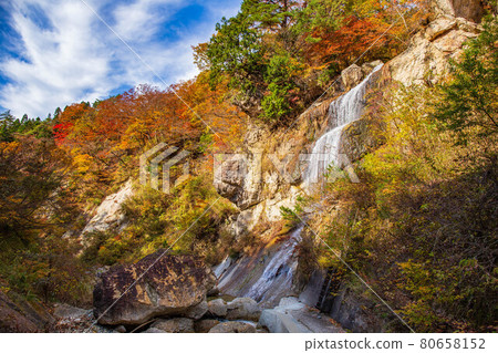 Autumn in Yamagata Omoshiroyama Kogen Autumn leaves Omoshiroyama Autumn leaves river valley Toka Falls 80658152