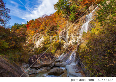 Autumn in Yamagata Omoshiroyama Kogen Autumn leaves Omoshiroyama Autumn leaves river valley Toka Falls Autumn in Yamagata Omoshiroyama Kogen Autumn leaves Omoshiroyama Autumn leaves river valley Toka Falls 80658482